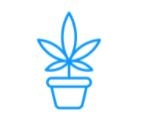 Flower Pot – Toronto | Legal Weed Delivery